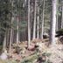 屋外の景色