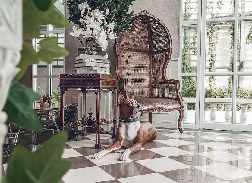 ロビー 写真