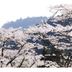 屋外の景色