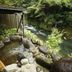 屋外の景色
