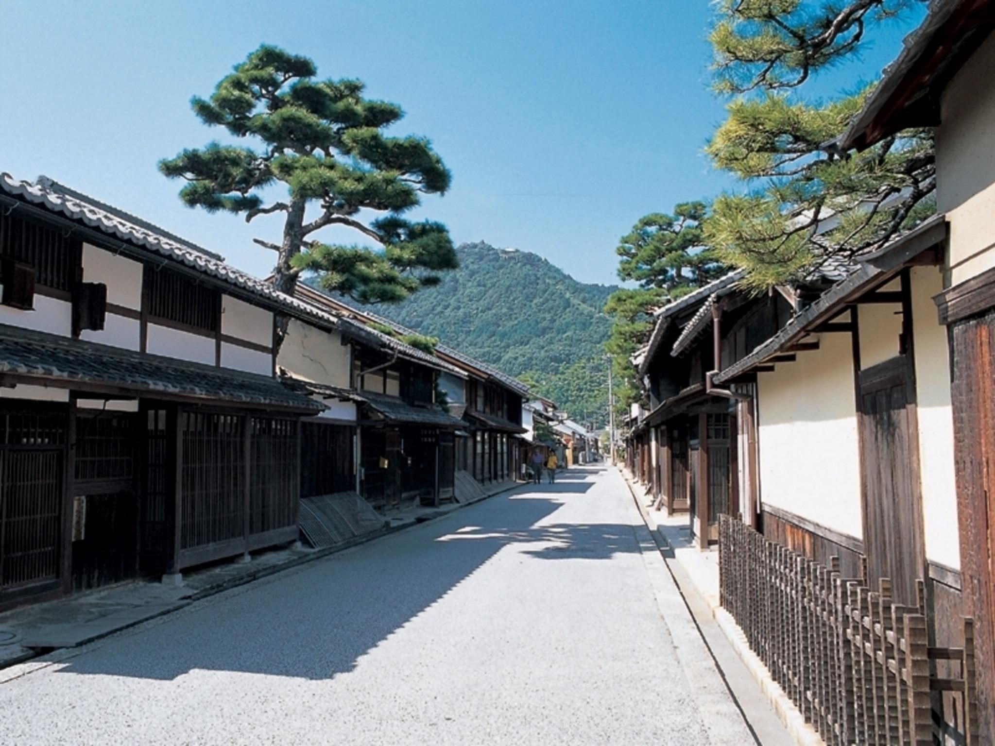屋外の景色