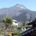 屋外の景色