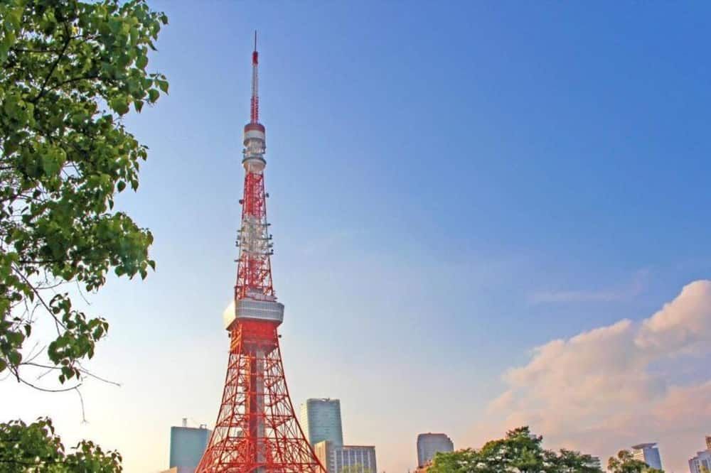 屋外の景色