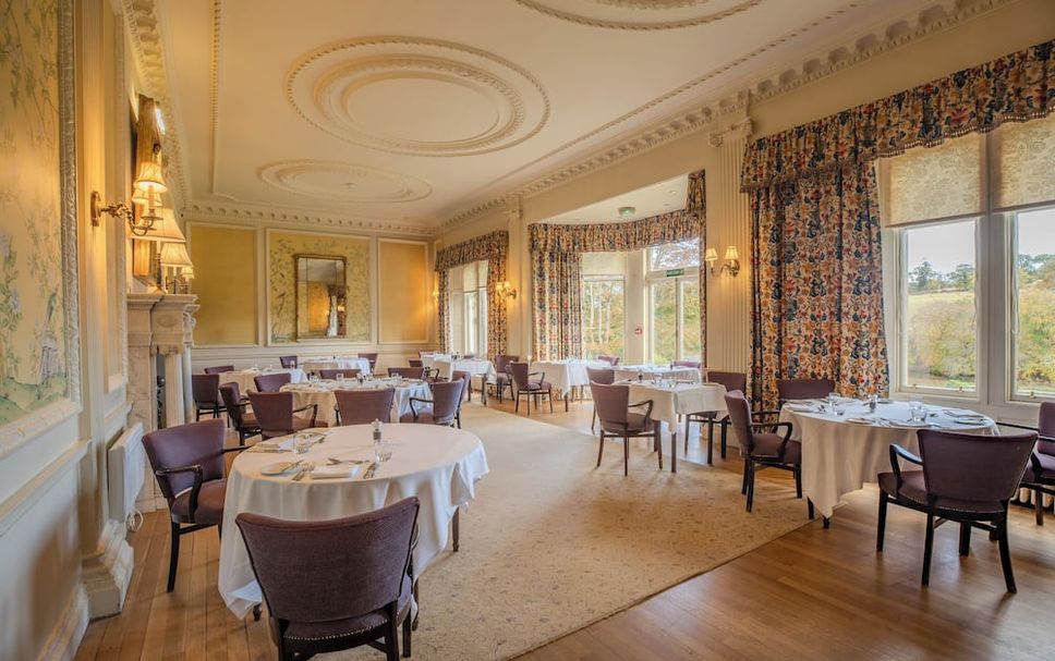 レストラン 写真