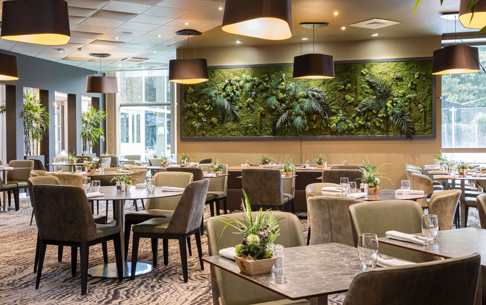 レストラン 写真