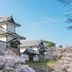 屋外の景色