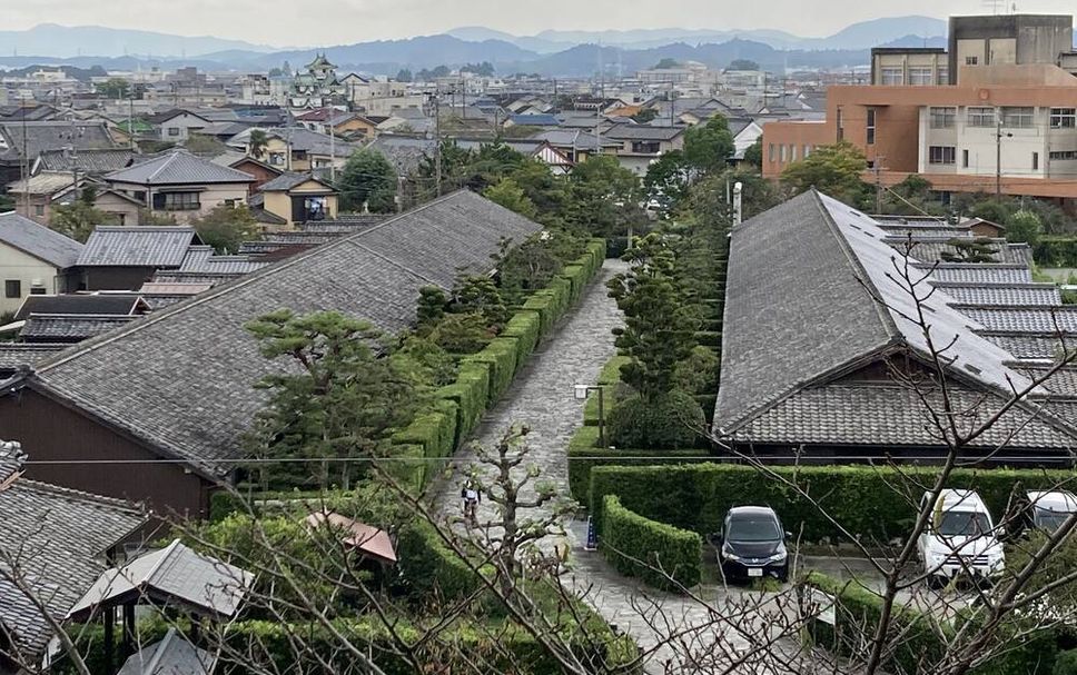 屋外の景色 写真