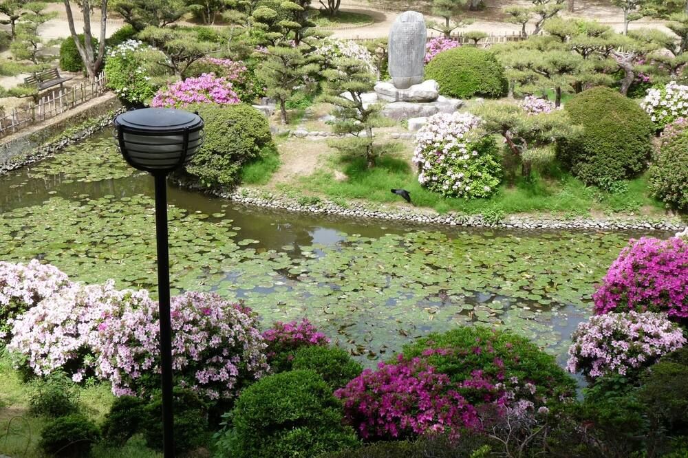 屋外の景色