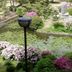 屋外の景色