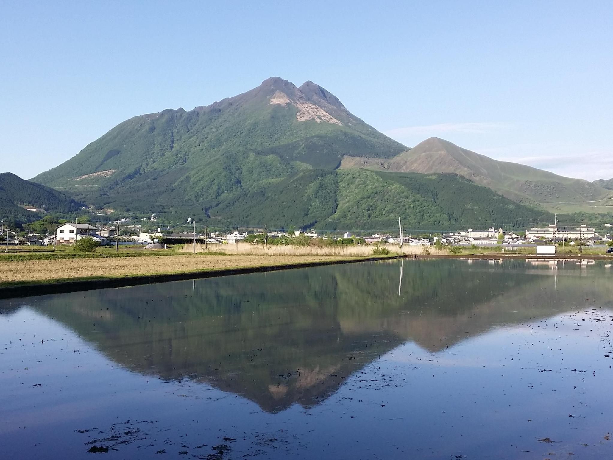 屋外の景色