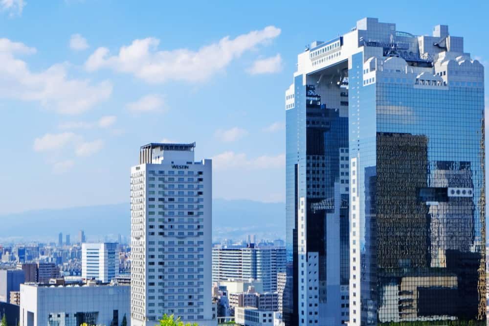 屋外の景色
