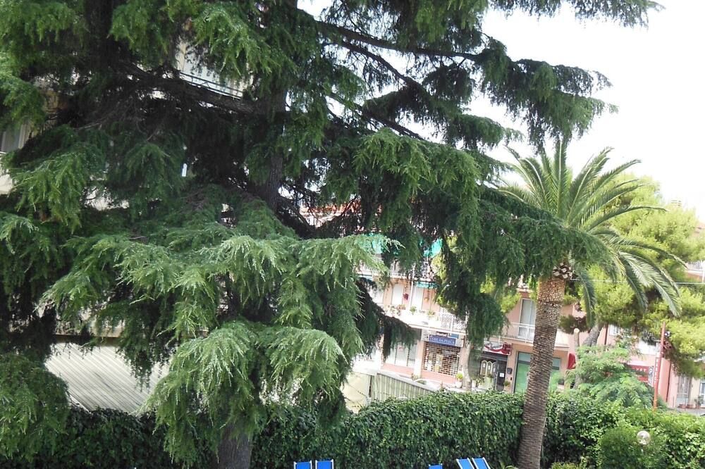 屋外の景色