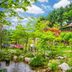 屋外の景色