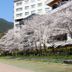 屋外の景色