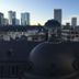 屋外の景色