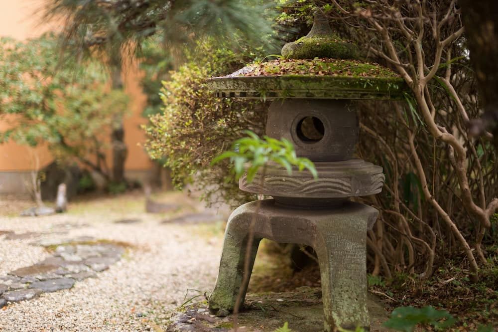 屋外の景色