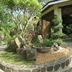屋外の景色
