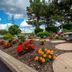 屋外の景色