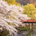 屋外の景色