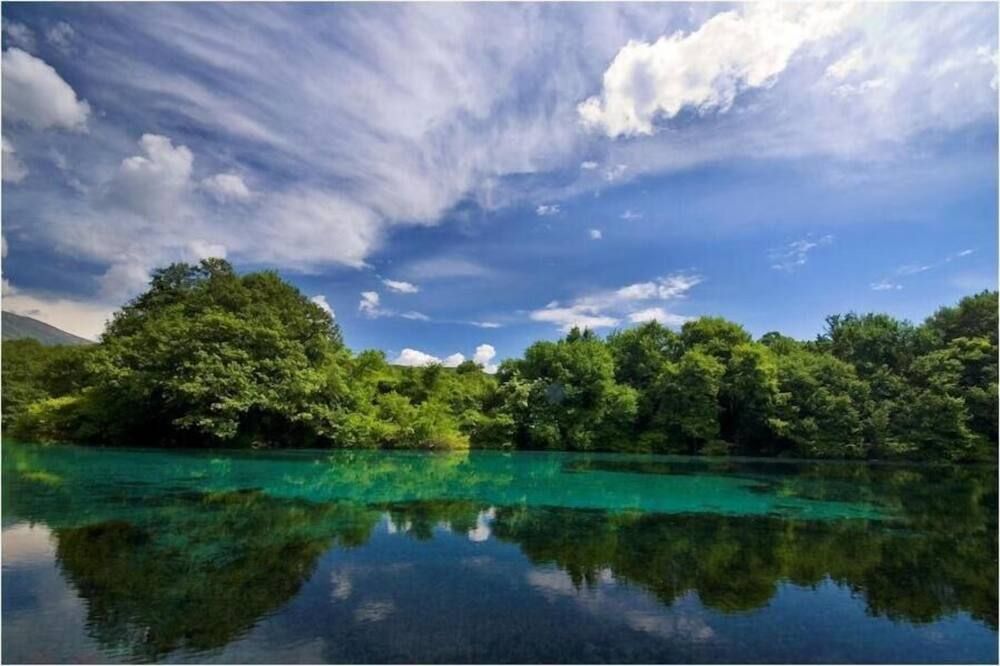 屋外の景色