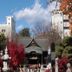 屋外の景色