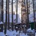 屋外の景色