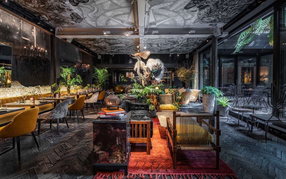 レストラン 写真