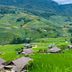 屋外の景色