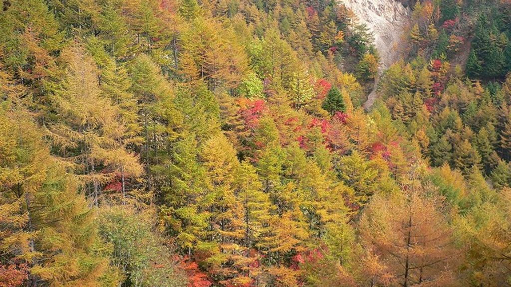 屋外の景色 写真