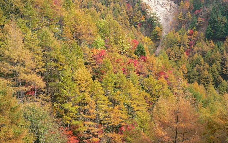 屋外の景色 写真