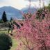 屋外の景色