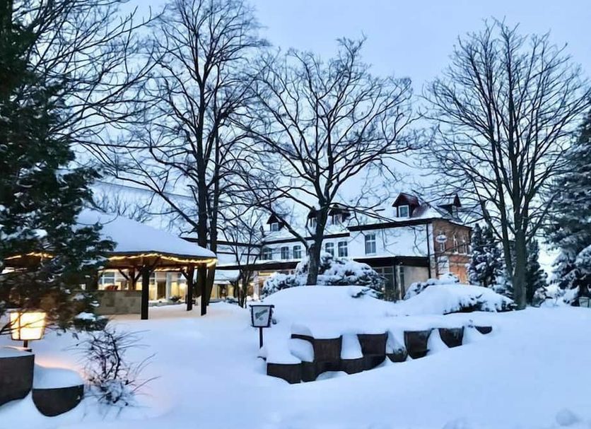 屋外の景色 写真