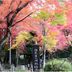 屋外の景色