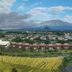 屋外の景色