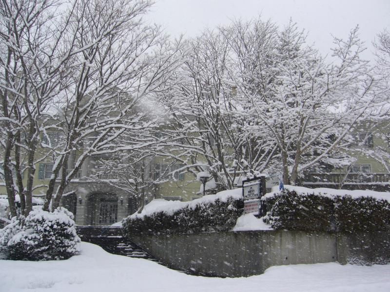 屋外の景色