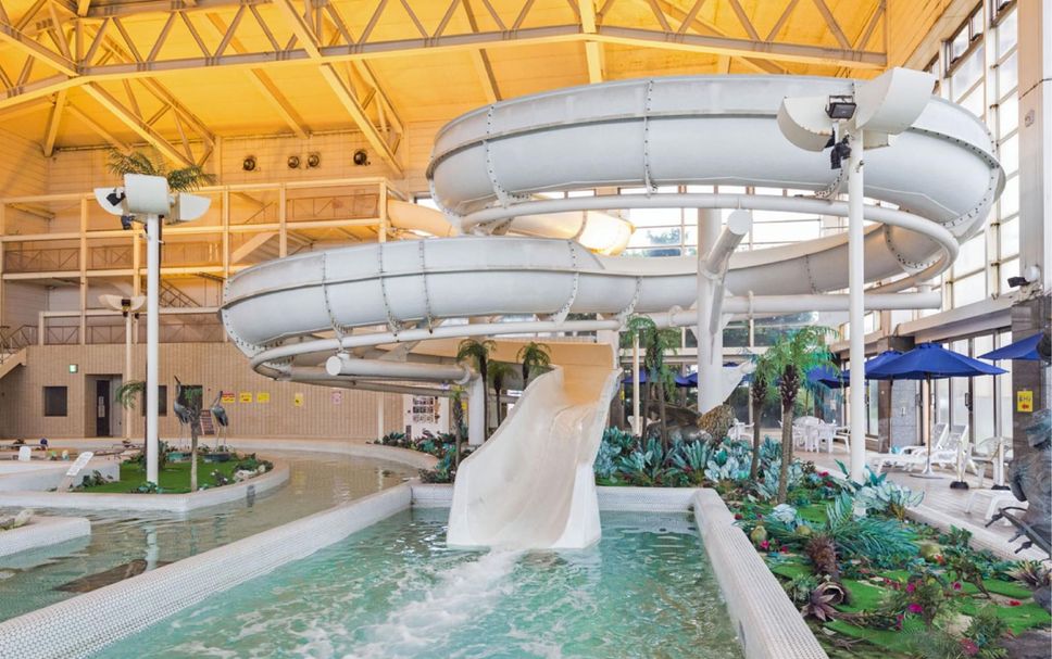 プール 写真