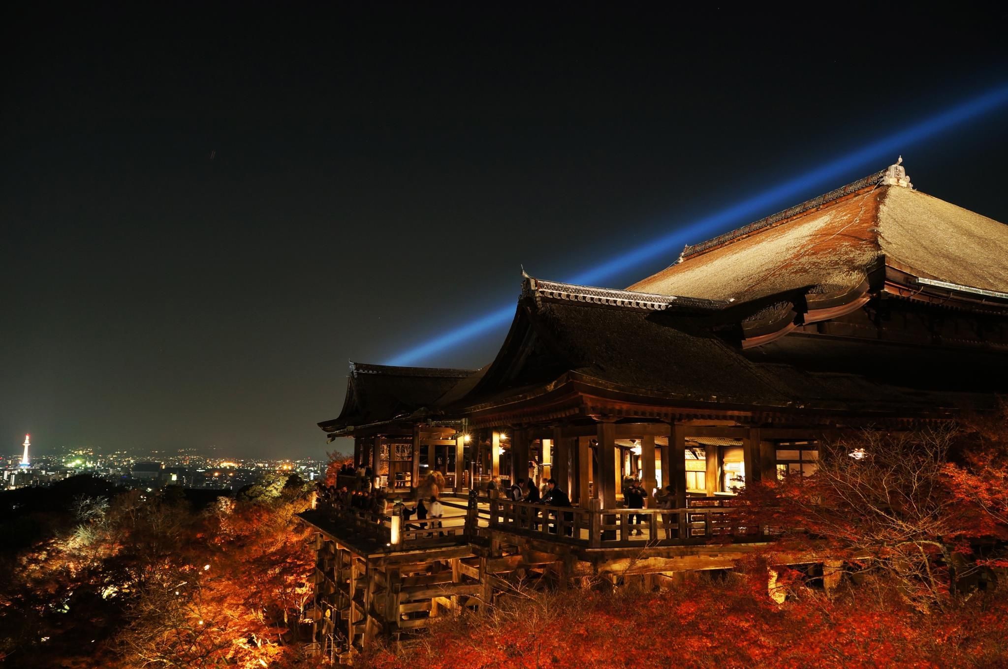 屋外の景色