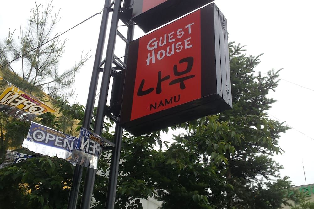 屋外の景色