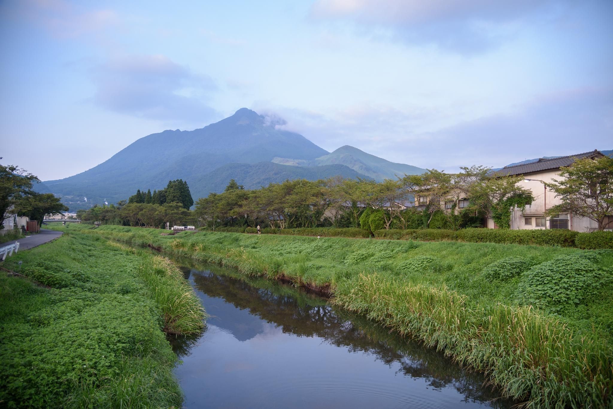 屋外の景色
