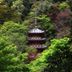 屋外の景色