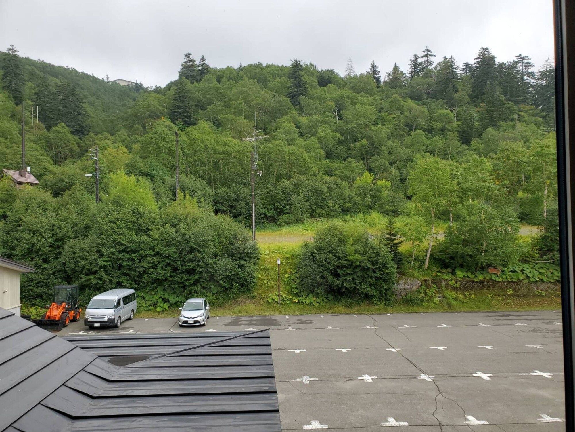 屋外の景色