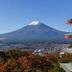 屋外の景色