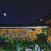 屋外の景色