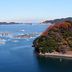 屋外の景色