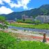 屋外の景色