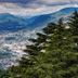 屋外の景色