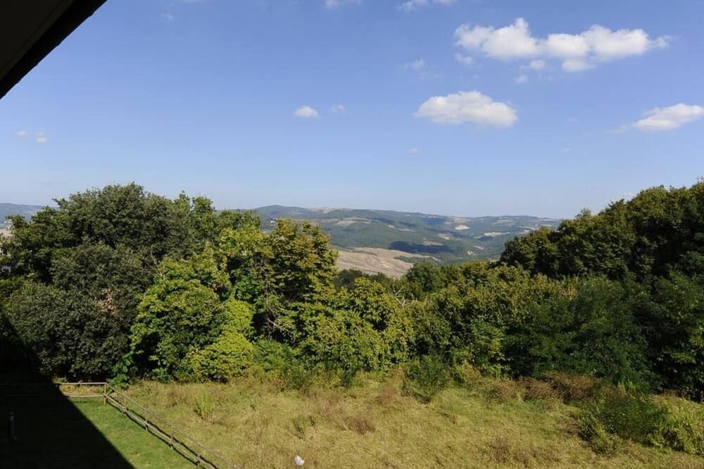 屋外の景色