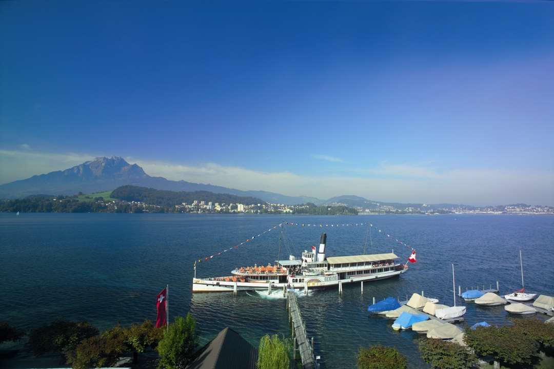 屋外の景色
