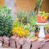 屋外の景色