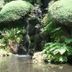 屋外の景色